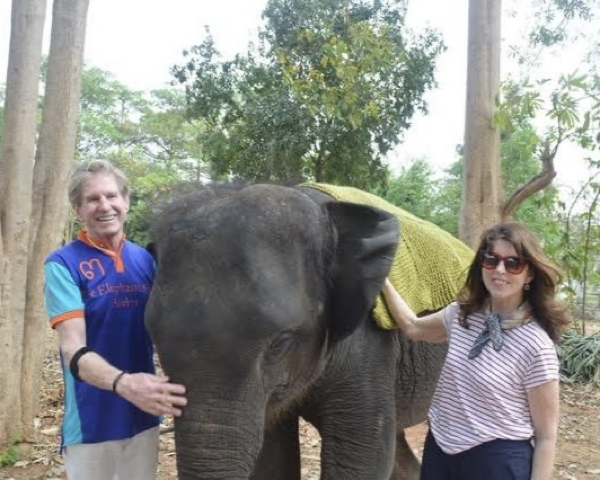 The Elephant Story Blog